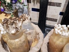 -乐咖啡西餐厅(太湖皇冠假日酒店)