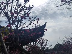 -尚湖风景区