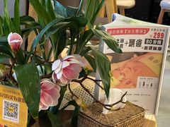 -施奈儿.洗头頭療.按摩SPA.采耳(上梅林店)