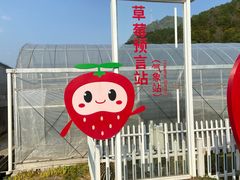 -建德果蔬乐园绪塘草莓基地