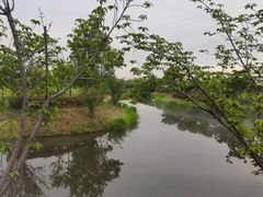 -嘉北郊野公园