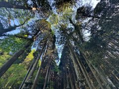 -上色见熊野座神社