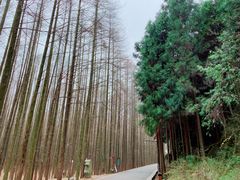 -山王坪喀斯特国家生态公园