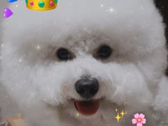 -唯美宠物生活馆(绿地国际生态城店)