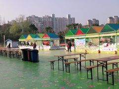 -大宁郁金香公园-停车场