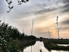 -白洋淀景区