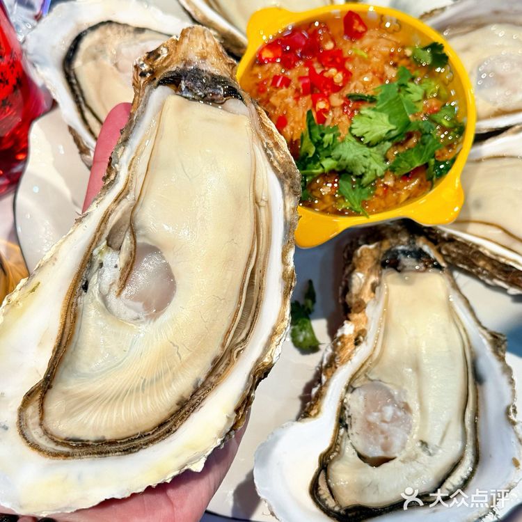 来青岛吃了这顿海鲜真的不想走了！也太太太好吃了啦