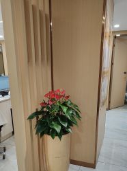 -南京康美美容医院·旗舰店