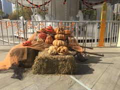 -青岛嘉年华主题乐园