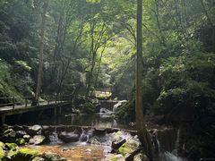 -牛背梁国家森林公园