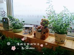 -猫的茶·猫咖