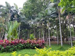 -中国科学院西双版纳热带植物园