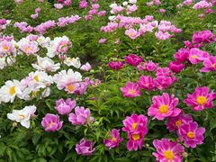 -长春世界雕塑园冰雪艺术天地