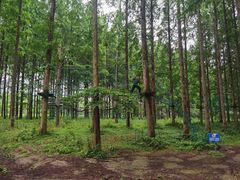 -黄海国家森林公园