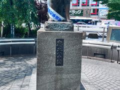 -涩谷全向十字路口