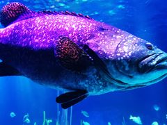 -沈阳海洋探索中心