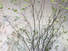 -双季花艺园艺市场(浦东店)
