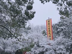 -杭州黄龙洞