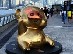-星光大道