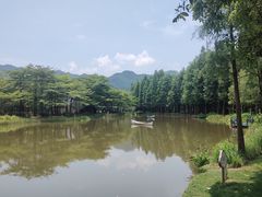 -森波拉奇妙世界