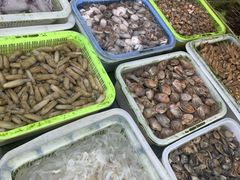 -大湾区中央湿地公园-十九涌