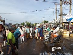 -尼甘布海鲜市场