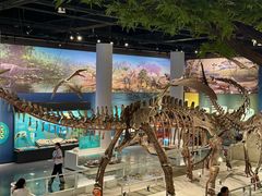 -国家自然博物馆
