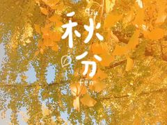 -辽宁大学(崇山校区)