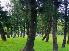 -人民公园(罗湖区)