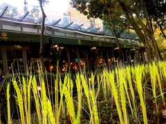 -星巴克(西湖天地店)