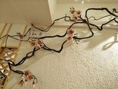 -确喜美味小厨(西单商场兰州店)