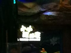 -青岛嘉年华主题乐园