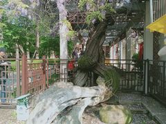 -郑和公园