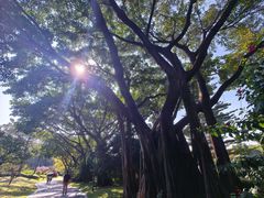 -云溪植物园