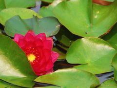 -国家植物园南园