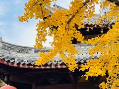 -龙华素斋(龙华路店)