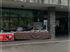 -都江堰中华大熊猫苑