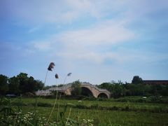 -上海佘山国家森林公园天马山园