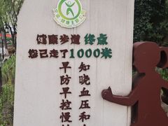 -文瀛公园