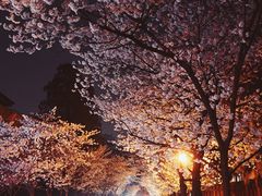 -鸡鸣寺