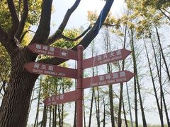 -上海鲜花港