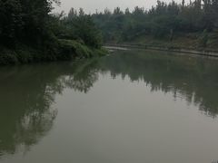 -生宇山珍野生菌汤锅•始于1999(双流古塔店)