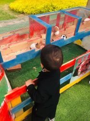 -萌宠亲子动物乐园(槐房万达店)