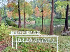 -云溪植物园