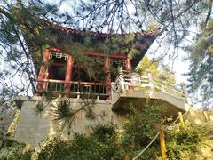 -北京植物园南门售票处