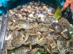 -苏格里岛自助海鲜烤肉(青秀万达店)