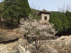-四门塔风景区