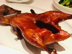 -东富酒家(龙湖西溪天街店)