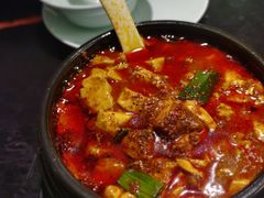 -陈麻婆豆腐总店