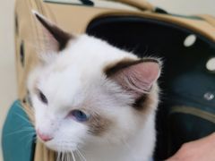 -美联众合动物医院·24h京西诊疗中心